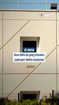 DZ Mafia: Trial under high tension