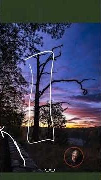 Two problems. One dead tree. Here's what I missed.