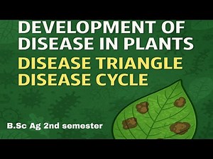 Development of Plant Diseases | Disease Triangle & Disease Cycle Explained | B.Sc. Agriculture