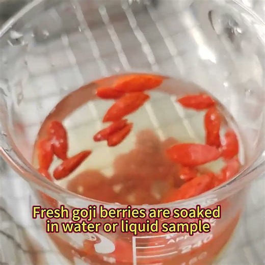 Ultrasoic Assisted Extraction (UAE) liqud sample tratment leaf plants Goji Berry Pectin