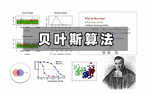 菜鸟狂喜！2023年B站最全最清晰的【贝叶斯算法】教程，精讲贝叶斯分析、朴素贝叶斯，原理 代码实现，三个小时快速啃透！机器学习算法|人工智能
