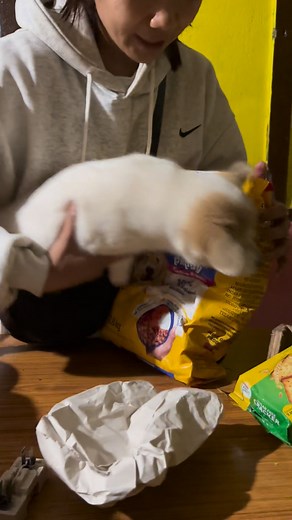 27K views · 8.6K reactions | Malati Rai on Reels | Facebook