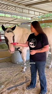 207K views · 10K reactions | How are horses groomed? Some people see...