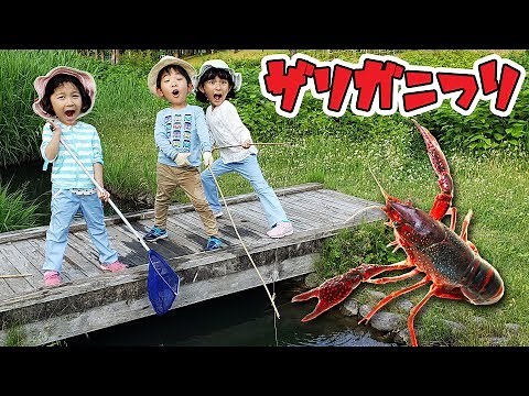 あーくんとザリガニ釣りに挑戦☆前よりもたくさん獲れるかな？？himawari-CH