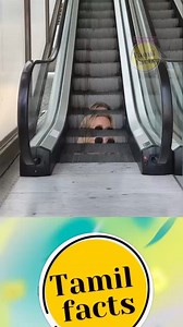 Facts in Tamil Reels 126 FB @Tamilfactss Insta @Tamilfactss_ #tamilmeme #tamilnews #tamilvideo #tamil #tamilstatus #taamilan #kollywood #tamilmemes #love #tamilnadu #tamilcomedy #tamilmovies #trending #bgm #kerala #malayalam #india #chennai #bangalore #tamilnews #tamilfactss #fact #facts #interesting #tamilfactss | Tamil Facts
