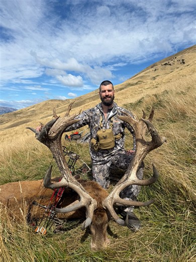 New Zealand Monster Red Stag in Spring | Bowhunting.Net