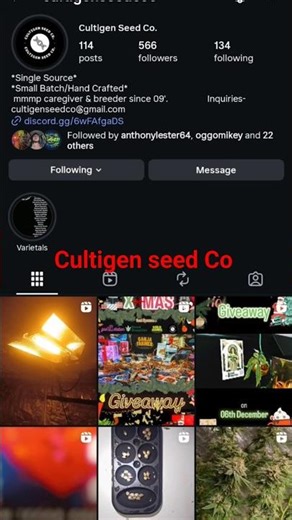 cultigen seed Co great genetics check him out on IG #cannabisgenetics #bestweed #growmarijuana
