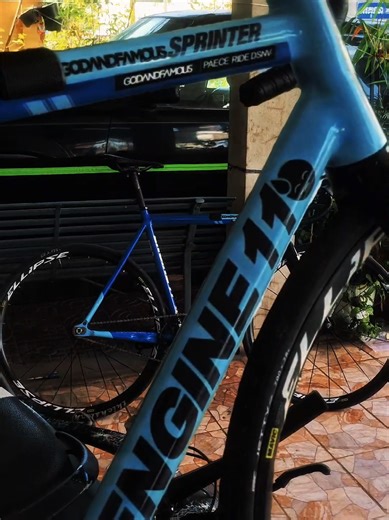 Explore the E11 Fixed Gear Bicycle Check