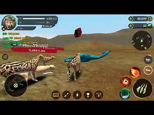 The Cheetah Online Simulator