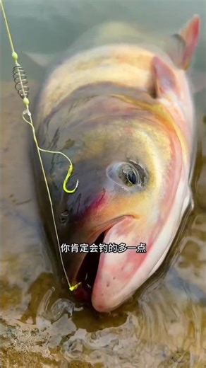 Instant fishing bait to catch big fish with easiest trick?!