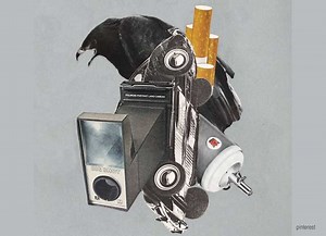 Foto fuerte: Cadáver de “El Koki” y documento que confirma necropsia en la morgue de Bello Monte | La iguana TV