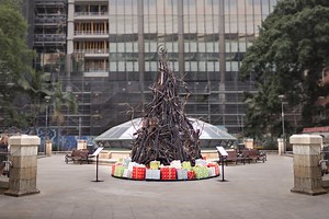 DDB and the Red Cross partner to raise funds for the bushfire crisis with a burnt Christmas tree