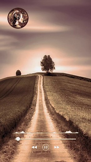 Ceu Azul - Charlie Brown Jr