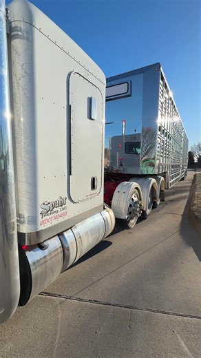 Wilson Trailer Bullnose - The Livestock Brand