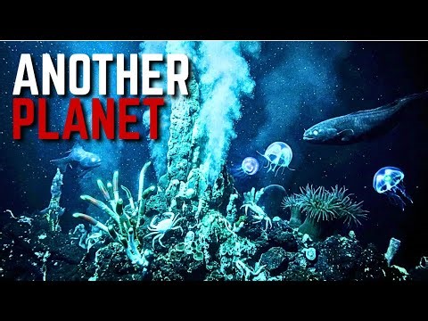 Why the Ocean Floor Feels Like Another Planet