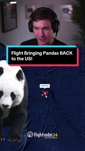 Flight Bringing Pandas BACK to the US! #news #pandas #fedex #aviation | panda