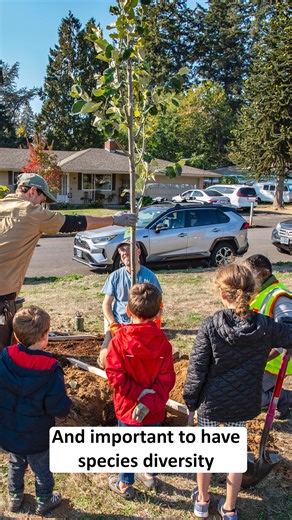 Learn about Portland Parks & Recreation's Urban Forestry Street Tree Inventory Program! | Portland Parks & Recreation