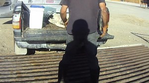 6.4K views · 151 reactions |  END THE TORTURE OF FAIRLIFE CALVES...