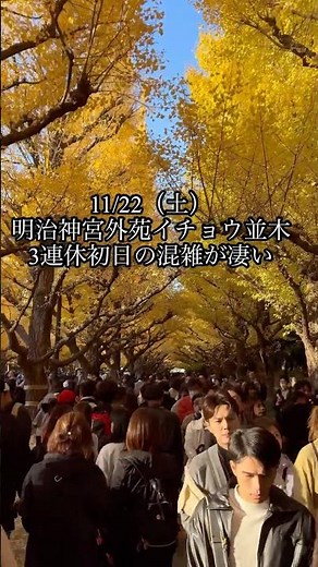 【3連休リアル】明治神宮外苑イチョウ並木の混雑がエグい…！クリスマスマーケットも開催中