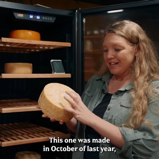 Welcome To Our Cheese Cave & Root Cellar! | Homesteading Family