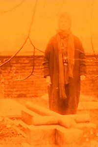 The Grove Summary, Trailer, Cast, Where to Watch and More