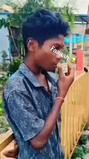 Brother's Creation 2.0: A Hilarious Adventure