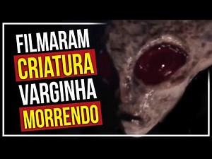 🎬👽🇺🇸 ET de VARGINHA nos EUA está em DESTAQUE! (Moment of Contact) • Vitório Pacaccini relata Filme