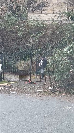 Bellevue WA Crime, Scanner, and Public Safety News (@BellevueWACrime) on X