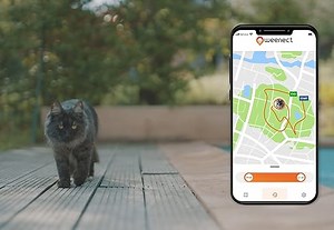 Weenect XS für Katzen - NEU Mini GPS-Tracker für Katzen | GPS-Tracking in Echtzeit | Ohne Distanzlimit | Kleinstes Modell auf dem Markt | Halsband inkludiert | Abonnement