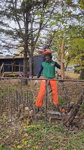 2K views | It is a GREAT feeling to get a branch out of a fence you've been carefully working on. The client was happy and the fence was saved! Message me, Danny, here at Lumberjacked MN today to set up a time for quote. Insured and I do FANTASTIC work. I am happy as heaven to hear from you 蝹望 #twincities #GeneralLabor #chainsawman #lumberjack | Lumberjacked MN LLC | Facebook