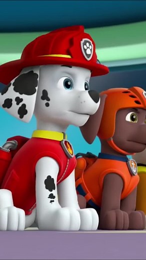 PAW Patrol on TikTok