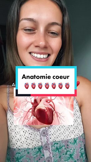 Exploration de l'anatomie du cœur en médecine