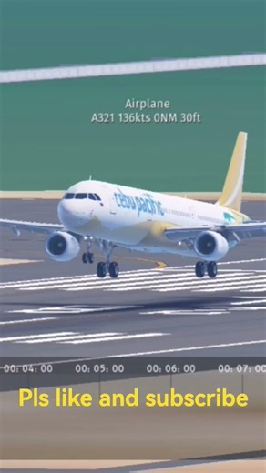 Infinite flight Butter