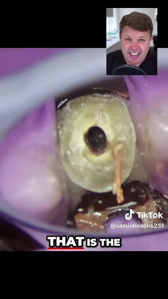 I ❤️ PULP on TikTok