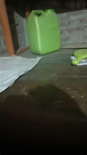 A visual text loop (repeating pattern)LOOP LOOP LOOP ➿