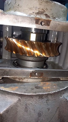 179K views · 1.5K reactions | Assembly of a wormgear box #gear #gearbox #wormgear #reels #fbreels | Perfect Skills | Facebook