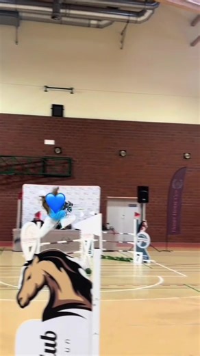 Corsairooo☘️🐬🐠// niedługo Zaczynamy z aktualnością 🐙🍀 #dc #dlaciebie😏 #fy #hobbyhorse #hh