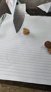 Três testes de corte, rolha, papel e pelo. #testedecorte #corte #tutorial | Marcelão Lubaczwski