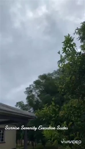 Dr manganya on TikTok