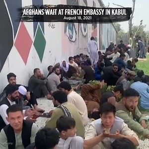 Footage shows long lines near the French embassy in Kabul as tens of thousands of Afghans make a desperate bid to escape Taliban rule. | NPR
