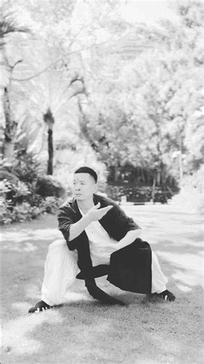 Behind TaiChi's unhurried rhythm lies the secret of yin-yang dynamics. Ancient Taoist