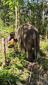 Bella and elephant keeper. | Elephant Jungle Paradise Park