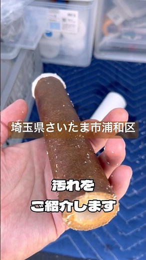 【第158回】 1年使った浄水器フィルターカートリッジの汚れチェック！埼玉県さいたま市浦和区🇯🇵 #メンテナンス #分解 #汚れ #水道