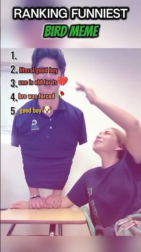 RANKING best bird meme trend compilation