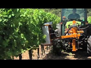 Effeuilleuse PELLENC