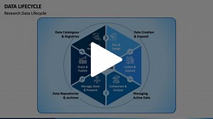 Data Lifecycle Animated Presentation - SketchBubble