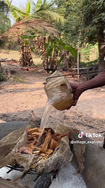 Traditional Palm Sugar Making Process in a Village