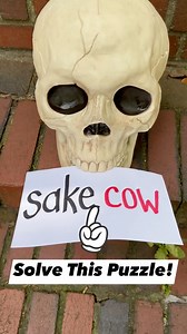 47K views · 76 reactions | I love rebus puzzles! #reels #reelsfb #rebus #puzzle #challenge | Lanette and Kurt | Facebook