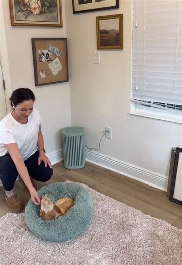 Best Air Purifiers for Allergies