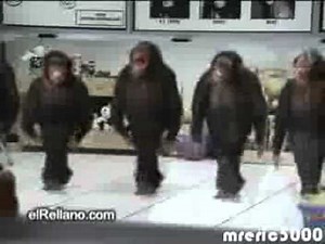 changos bailando la cumbia del chango jajajaja